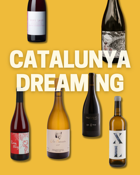 BINGO BOX: CATALUNYA DREAMING