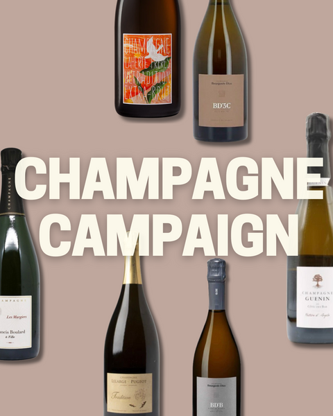 BINGO BOX: CHAMPAGNE CAMPAIGN