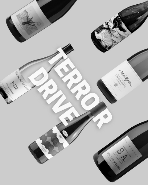 BINGO BOX: TERROIR DRIVE